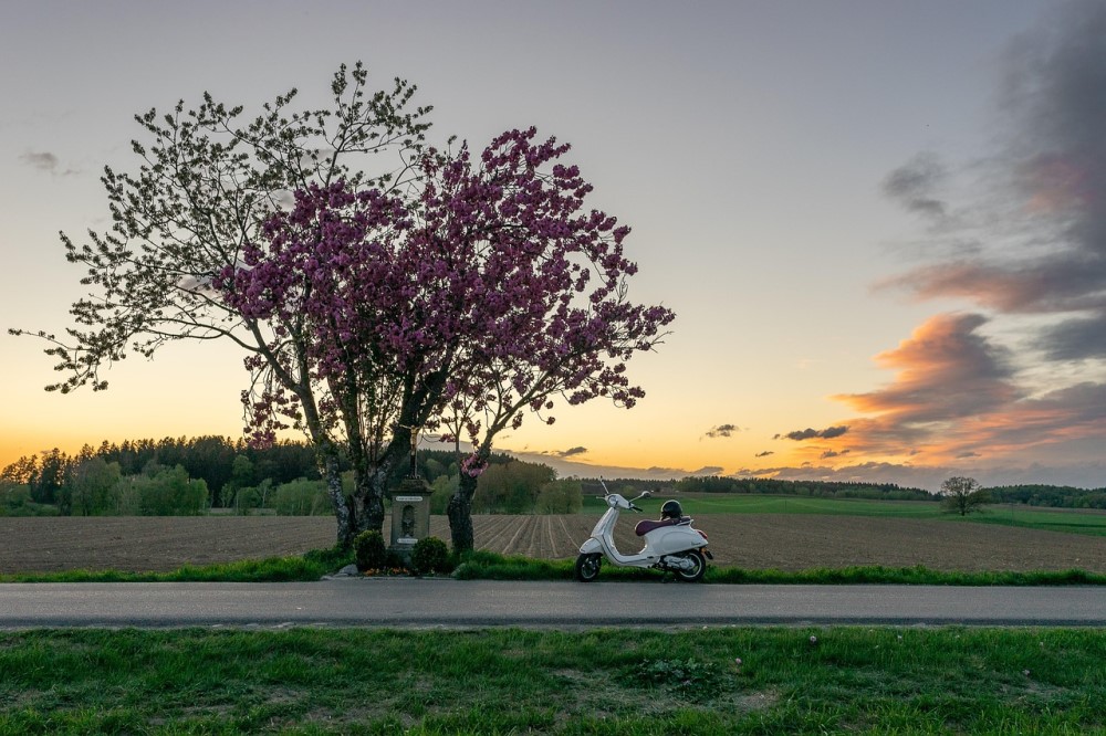 夕暮れの田園の1本の木の下のバイク